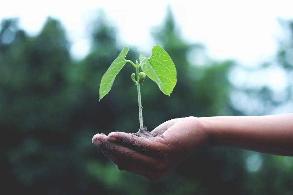 Sustainable Fashion Trends to Follow